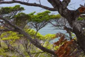Free download Colorful trees on Gable Island free photo or picture to be edited with GIMP online image editor