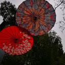 Colorful Umbrellas  screen for extension Chrome web store in OffiDocs Chromium