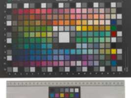 Free download colsha free photo or picture to be edited with GIMP online image editor