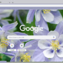 Columbine Blue  screen for extension Chrome web store in OffiDocs Chromium