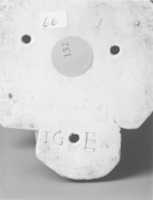 Free download Columbine free photo or picture to be edited with GIMP online image editor