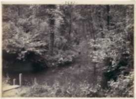 Free download Colwyn Bay. The Pool in the Wood free photo or picture to be edited with GIMP online image editor