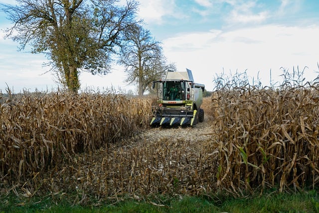 Бесплатно скачать зерноуборочный комбайн сельскохозяйственное поле бесплатное изображение для редактирования с помощью бесплатного онлайн-редактора изображений GIMP