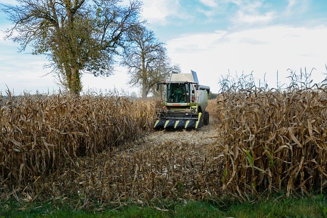 Descărcare gratuită fotografie gratuită a câmpului agricol combină de recoltat pentru a fi editată cu editorul de imagini online gratuit GIMP