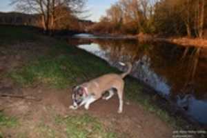 Free download como un nino free photo or picture to be edited with GIMP online image editor