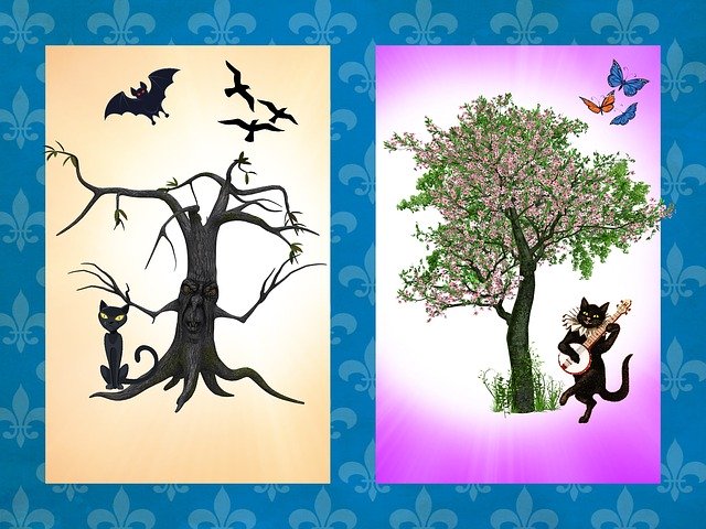 Free download Comparison Vision Attitude -  free illustration to be edited with GIMP free online image editor