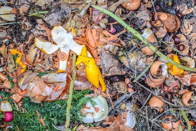 Безкоштовно завантажте Compost Garden Waste – безкоштовну фотографію чи зображення для редагування за допомогою онлайн-редактора зображень GIMP