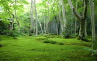 Free download Computer Desktop Wallpapers Collection #436 free photo or picture to be edited with GIMP online image editor