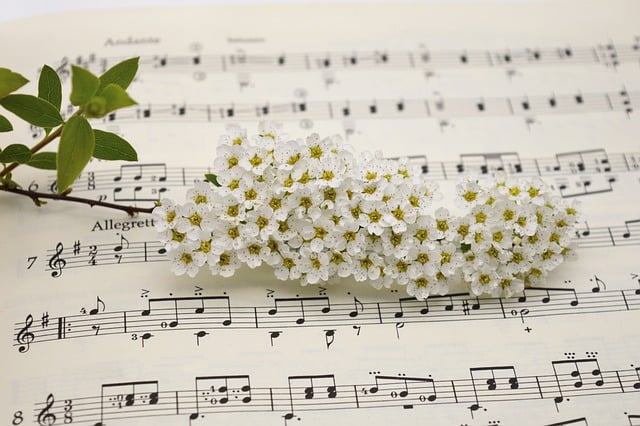 Free download concert sheet music blooms free picture to be edited with GIMP free online image editor