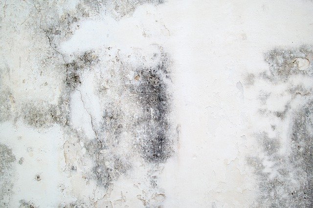 Free download Concrete Wall Texture -  free photo or picture to be edited with GIMP online image editor