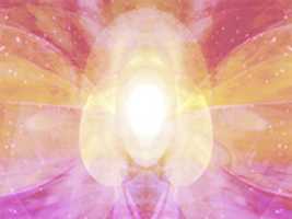 Free download Conductor Of Worship On Paradise free photo or picture to be edited with GIMP online image editor