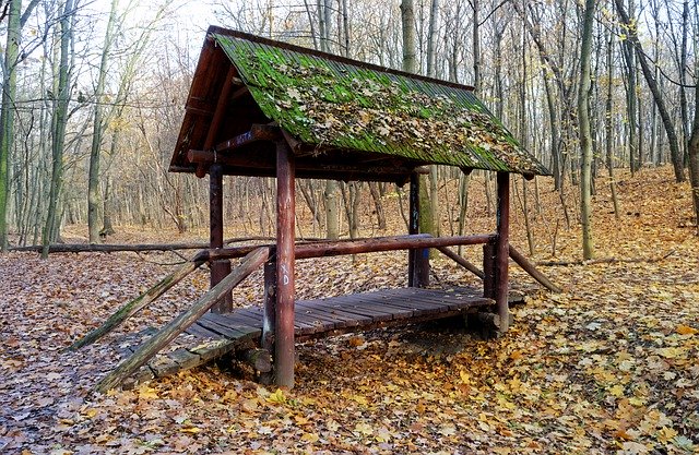 Скачать бесплатно Construction Wood Bridge - бесплатное фото или изображение для редактирования в онлайн-редакторе GIMP