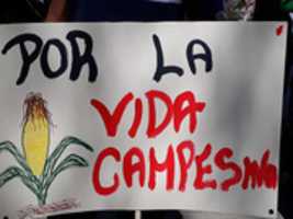 Free download Contexto Urbe 2019 free photo or picture to be edited with GIMP online image editor