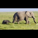 convoivuive  screen for extension Chrome web store in OffiDocs Chromium