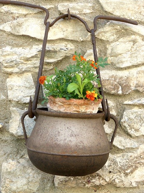 Free download Cooking Pot Flowers Decoration -  free photo or picture to be edited with GIMP online image editor