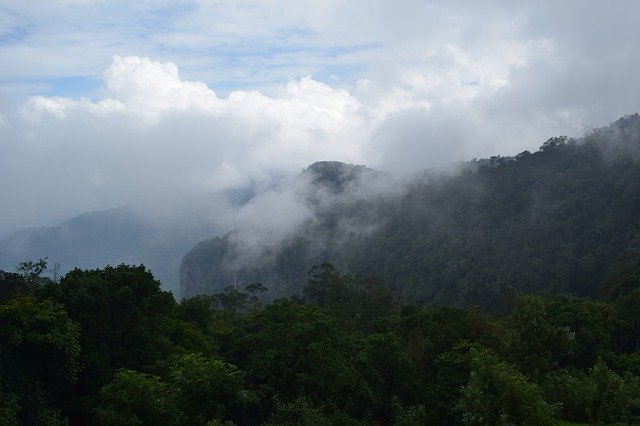 Free download Coonoor Dolphin Nose Green -  free photo or picture to be edited with GIMP online image editor