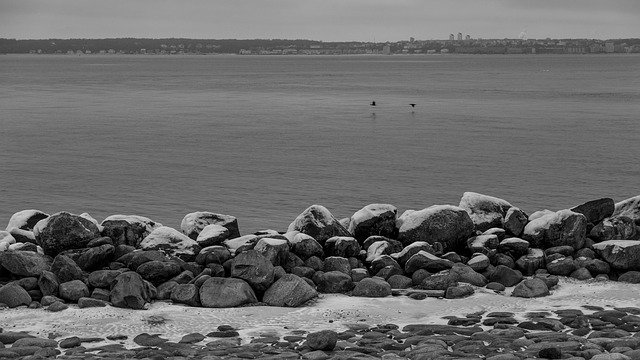 Free download Copenhagen Sea Landscape -  free photo or picture to be edited with GIMP online image editor