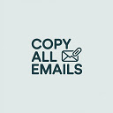 Copy All Emails – Extract Email Addresses from Any Page  screen for extension Chrome web store in OffiDocs Chromium