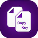 CopyKey  screen for extension Chrome web store in OffiDocs Chromium