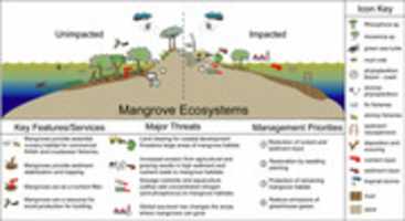 Free download Coral Reefs 2 free photo or picture to be edited with GIMP online image editor