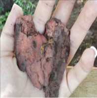 Free download corazon de madera free photo or picture to be edited with GIMP online image editor