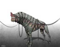 Free download Corellian Dog Concept Art free photo or picture to be edited with GIMP online image editor