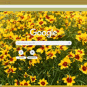 Coreopsis  screen for extension Chrome web store in OffiDocs Chromium