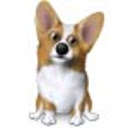 Corgi Break  screen for extension Chrome web store in OffiDocs Chromium