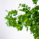 Coriander  screen for extension Chrome web store in OffiDocs Chromium