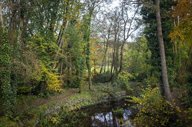 Cork Ballincollig Forest 무료 다운로드 - 무료 무료 사진 또는 GIMP 온라인 이미지 편집기로 편집할 수 있는 사진