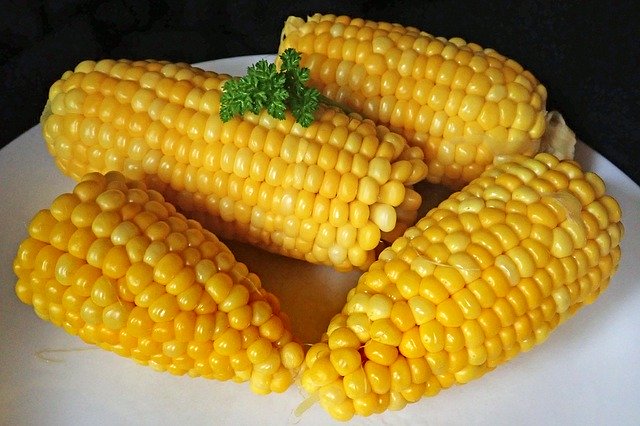 Free download Corn Cooked Vegetable -  free photo or picture to be edited with GIMP online image editor