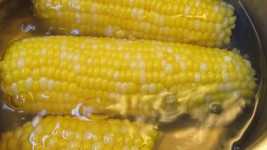Free download Corn Cooking Boil -  free video to be edited with OpenShot online video editor