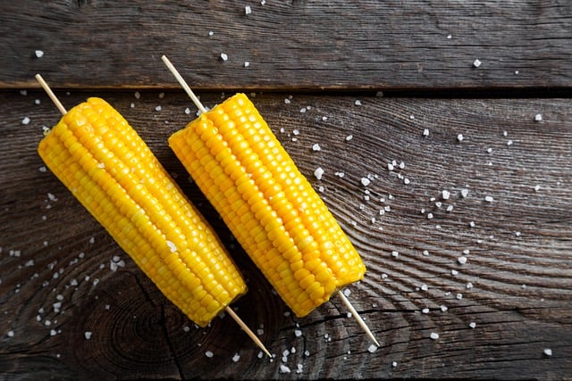 Free download corn farm healthy vegetable free picture to be edited with GIMP free online image editor