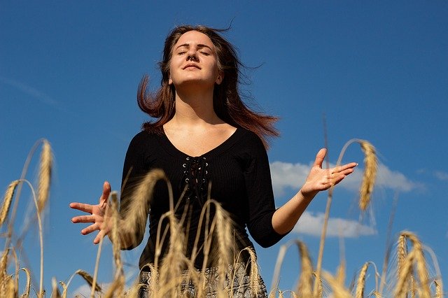 Free download Cornfield Summer Portrait -  free photo or picture to be edited with GIMP online image editor