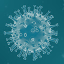 Coronavirus Cases  screen for extension Chrome web store in OffiDocs Chromium