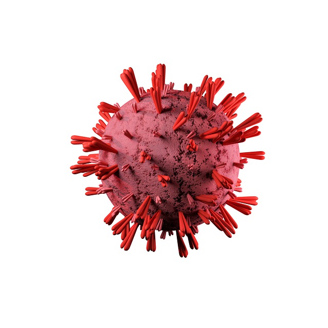 ดาวน์โหลดภาพฟรี coronavirus covid covid 19 โคโรนาที่จะแก้ไขด้วย GIMP โปรแกรมแก้ไขรูปภาพออนไลน์ฟรี