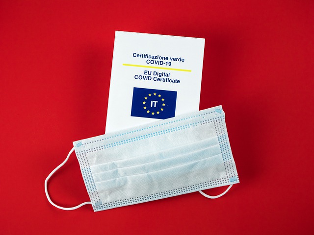 Free download coronavirus pandemic face mask free picture to be edited with GIMP free online image editor