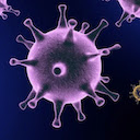 Coronavirus to Zombies  screen for extension Chrome web store in OffiDocs Chromium