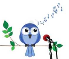 Free download Coro San Isidro free photo or picture to be edited with GIMP online image editor