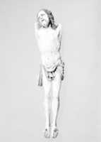 Free download Corpus free photo or picture to be edited with GIMP online image editor