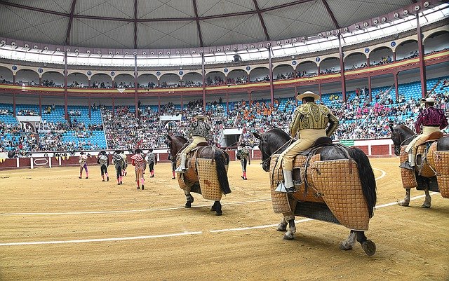 Free download Corrida Bulls Paseillo Spanish -  free photo or picture to be edited with GIMP online image editor
