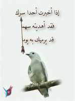 Free download Cotinga Bird free photo or picture to be edited with GIMP online image editor