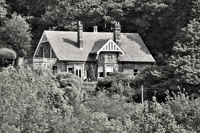 Free download cottage b w black and white trees free picture to be edited with GIMP free online image editor