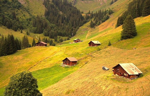 Free download cottage meadow alpine field free picture to be edited with GIMP free online image editor