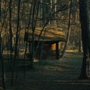 cottage nestled in a forest of maple trees during autumn  screen for extension Chrome web store in OffiDocs Chromium