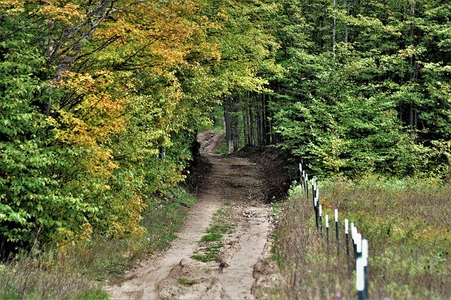 Unduh gratis Country Road Nature - foto atau gambar gratis untuk diedit dengan editor gambar online GIMP