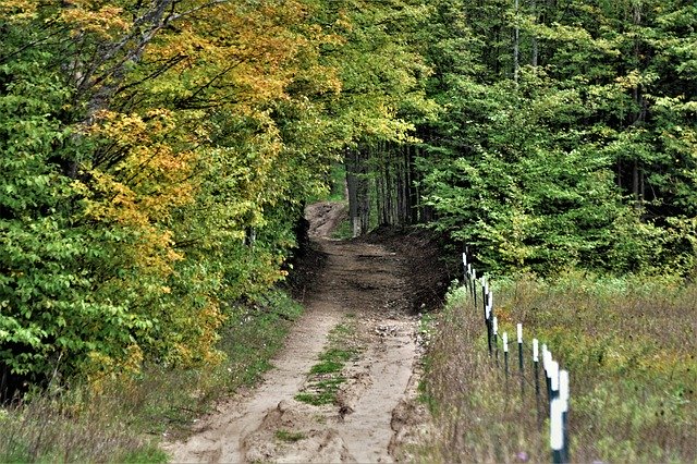 Free download Country Road Nature -  free photo or picture to be edited with GIMP online image editor