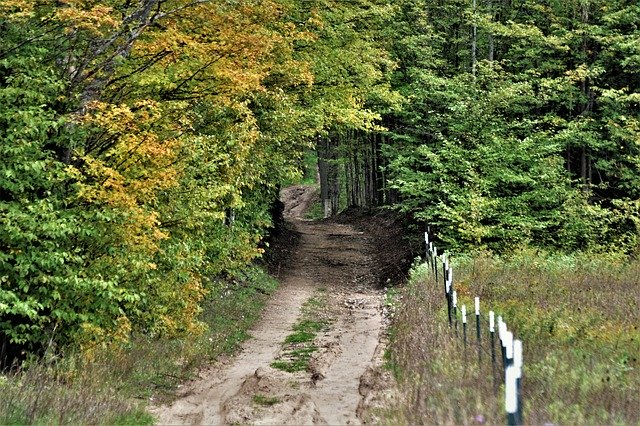 Free download Country Road Nature -  free photo or picture to be edited with GIMP online image editor