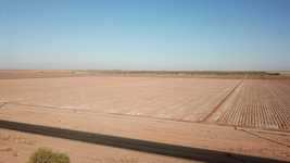 Free download Countryside Cotton Fields -  free video to be edited with OpenShot online video editor