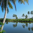 countryside features  screen for extension Chrome web store in OffiDocs Chromium